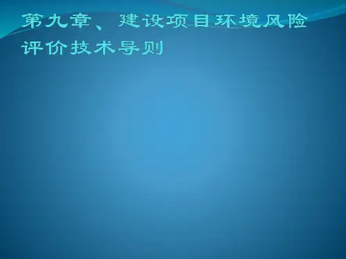 建设项目环境风险评价技术导则