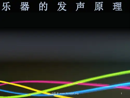 乐器的发声原理精品PPT课件