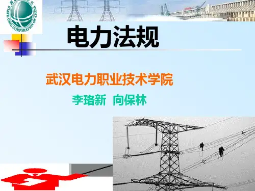 《电力法规》 电子课件 第一讲  第一章   电力法总论