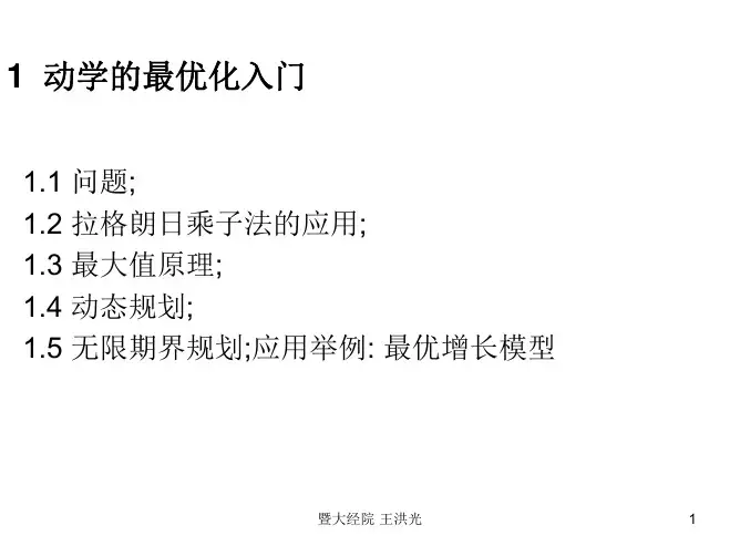 高级宏观经济学(暨南大学,王洪)