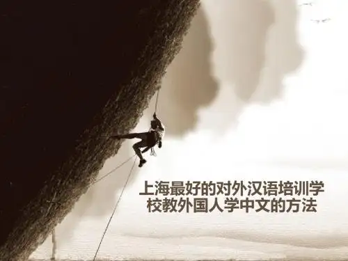 上海最好的对外汉语培训学校教外国人学中文的方法