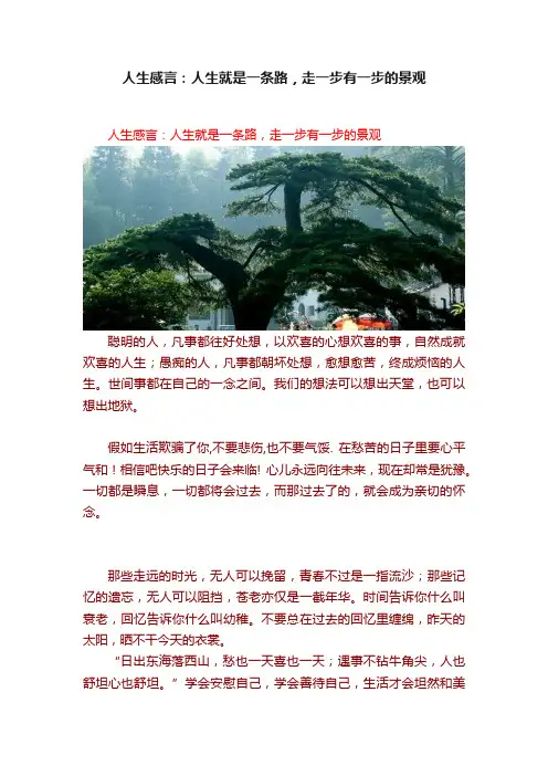 人生感言：人生就是一条路，走一步有一步的景观
