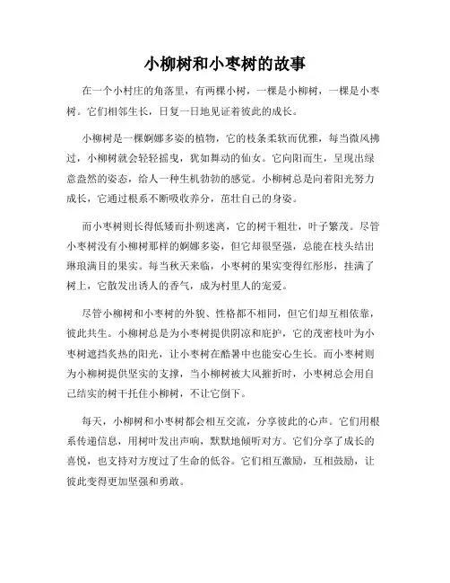 小柳树和小枣树的故事
