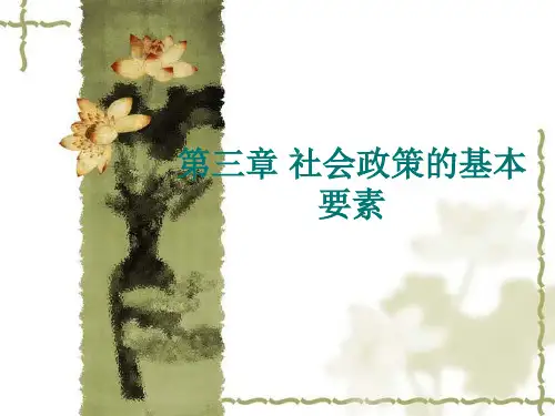 第三章 社会政策的基本要素