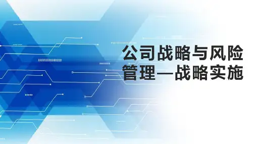 公司战略与风险管理—战略实施PPT