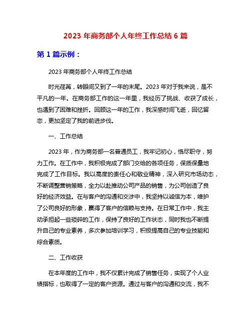 2023年商务部个人年终工作总结6篇