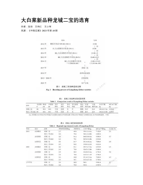 大白菜新品种龙城二宝的选育