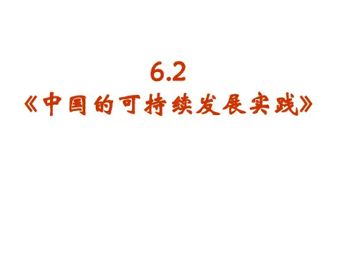 中国的可持续发展实践(PPT46页)