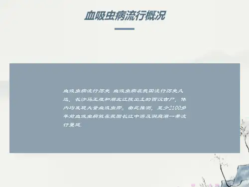 小学血吸虫病预防课件