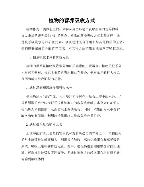 植物的营养吸收方式