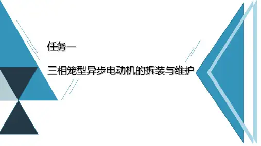 三相异步电动机拆装与维护--现场施工