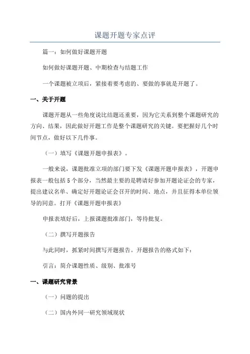 课题开题专家点评