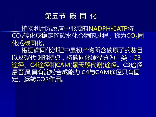 光合2