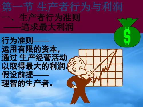 生产者行为理论培训讲义PPT71页