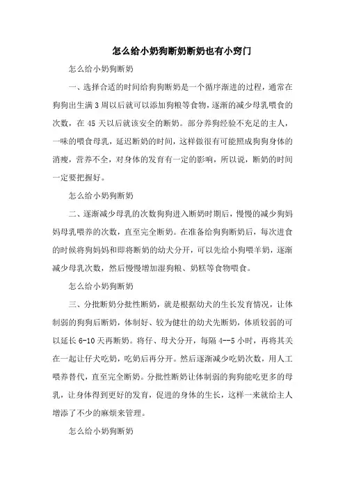 怎么给小奶狗断奶断奶也有小窍门