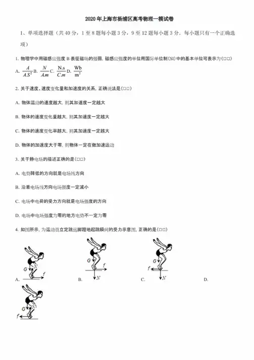 2020届上海市杨浦区高三物理一模试题