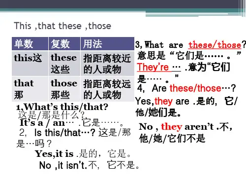 指示代词this ,that these ,those讲练