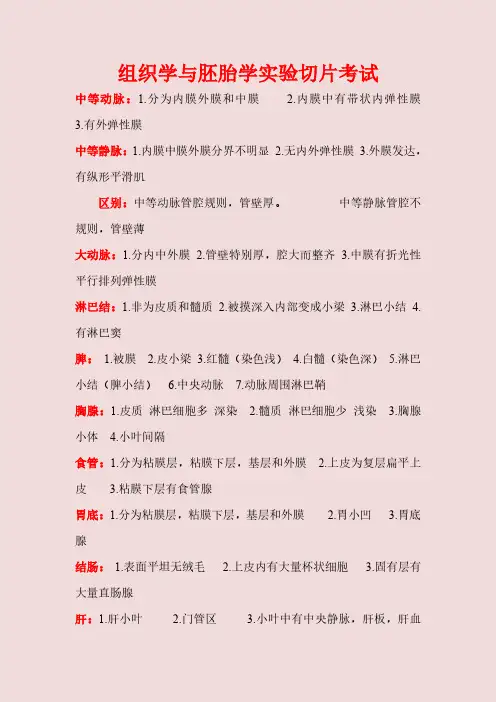 组织学与胚胎学实验切片考试(1)