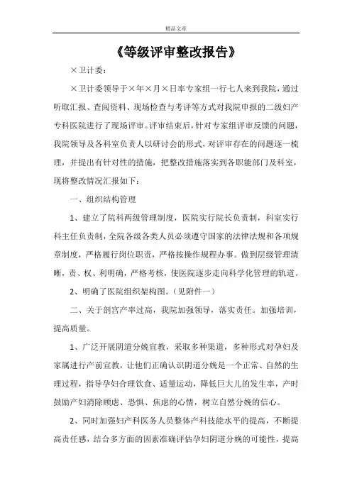 《等级评审整改报告》