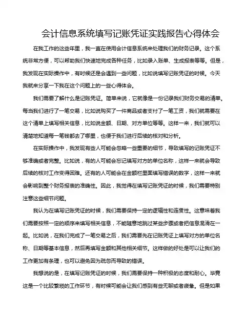 会计信息系统填写记账凭证实践报告心得体会