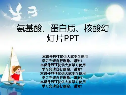 氨基酸、蛋白质、核酸幻灯片PPT