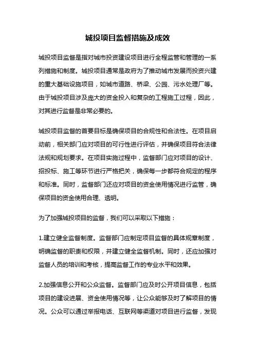 城投项目监督措施及成效