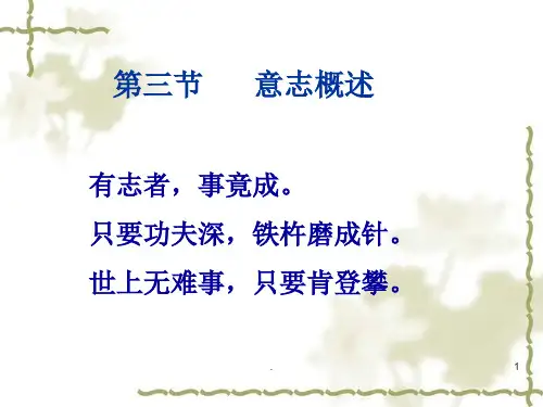 学前儿童意志ppt课件