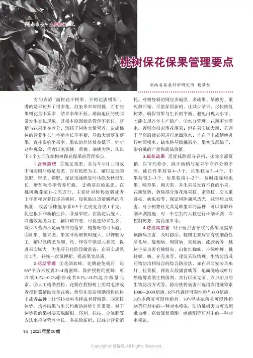 桃树保花保果管理要点