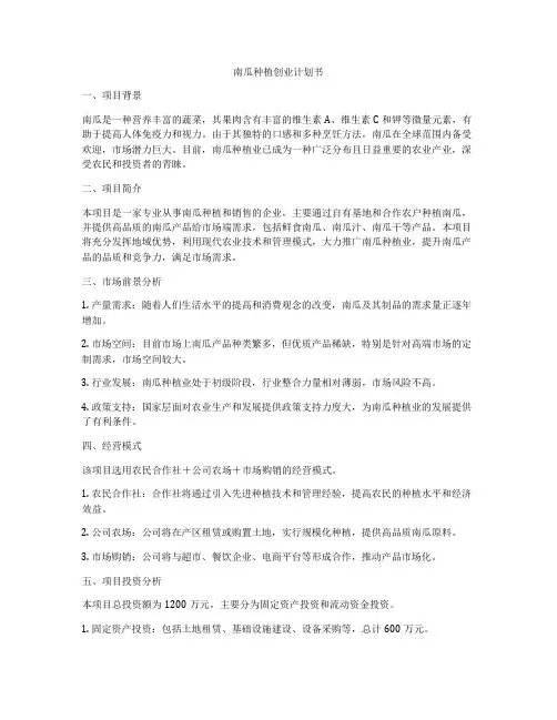 南瓜种植创业计划书