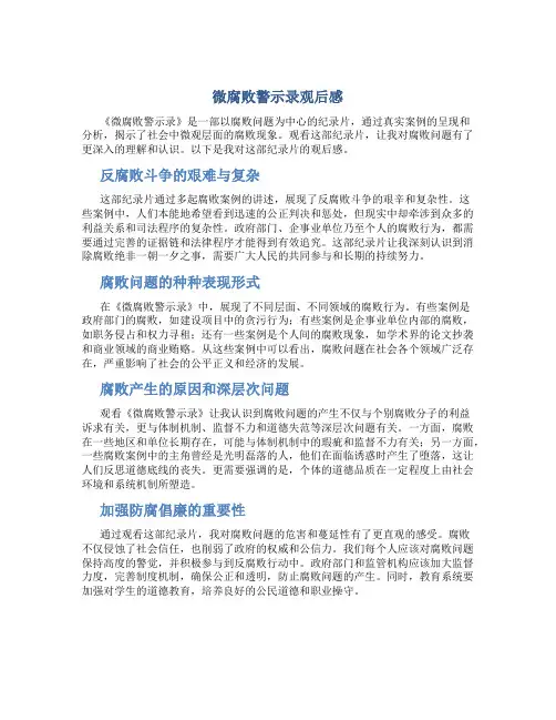 《微腐败警示录》观后感