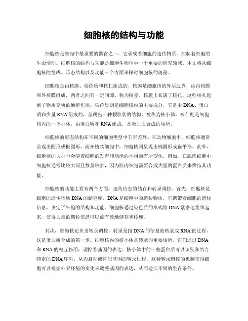 细胞核的结构与功能