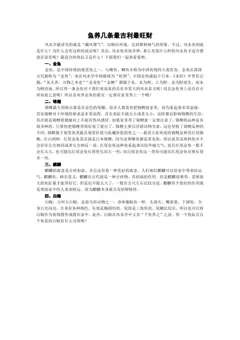 鱼养几条最吉利最旺财