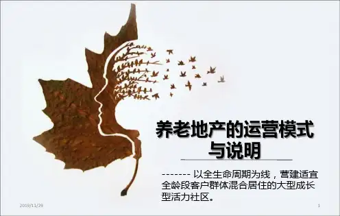养老地产开发调研PPT课件