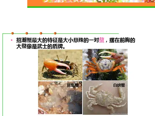 环境科学概论  第八章 环境物理