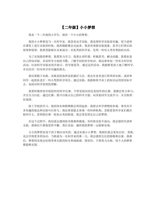 【二年级】小小梦想