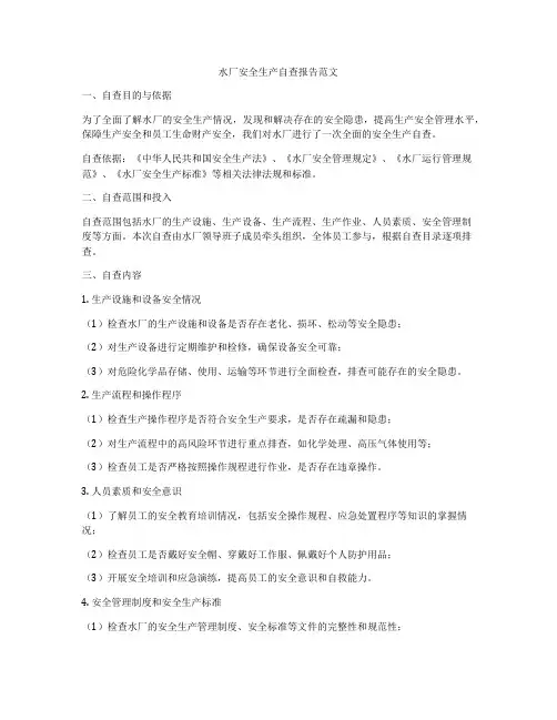 水厂安全生产自查报告范文