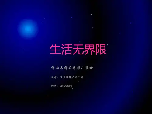 伴山名都品牌推广策略PPT