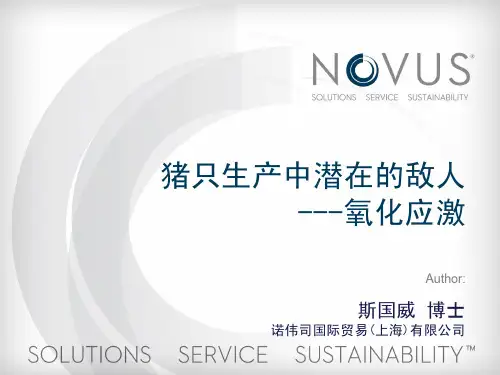 猪只生产中潜在的敌人---氧化应激
