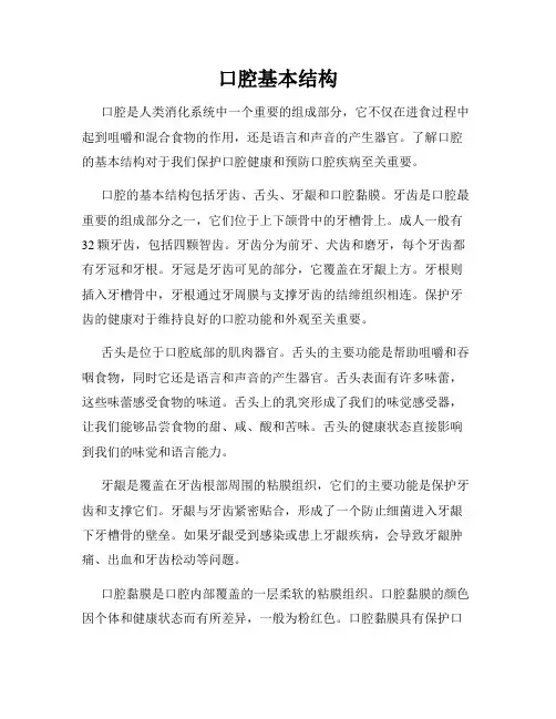 口腔基本结构