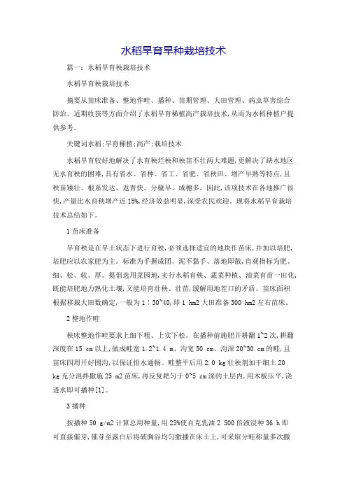 水稻旱育旱种栽培技术
