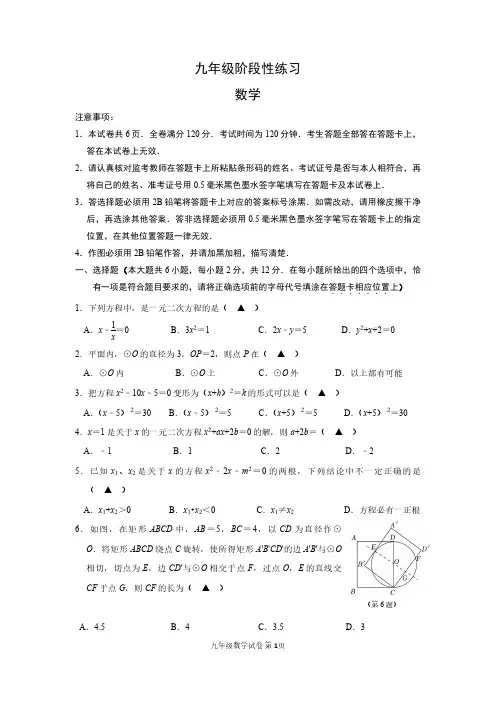江苏省南京市南京市钟英中学2023~2024学年九年级上学期10月月考数学试卷(含答案)
