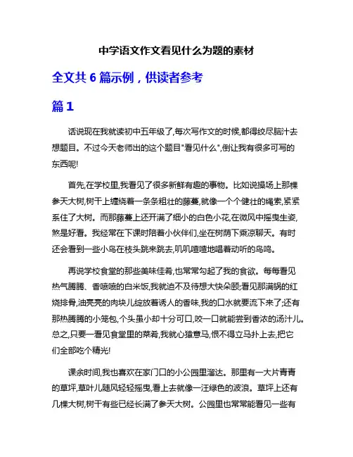 中学语文作文看见什么为题的素材