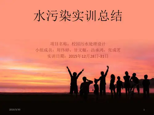 水污染实训总结 PPT课件