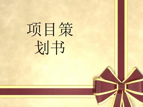 某项目策划书(PPT 36页)