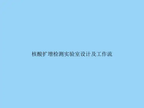 核酸扩增检测实验室设计及工作流