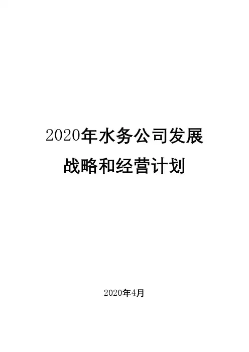 2020年水务公司发展战略和经营计划