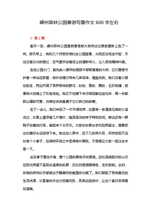 嵊州森林公园春游写景作文600字左右