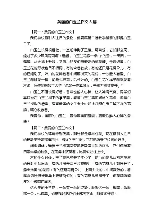美丽的白玉兰作文8篇