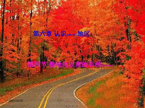 八年级地理下册 第六章 第四节 撒哈拉以南非洲 