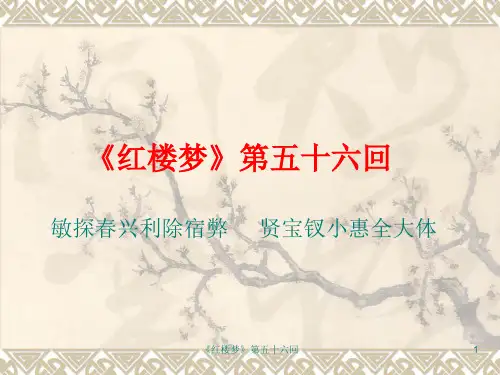 《红楼梦》第五十六回 ppt课件
